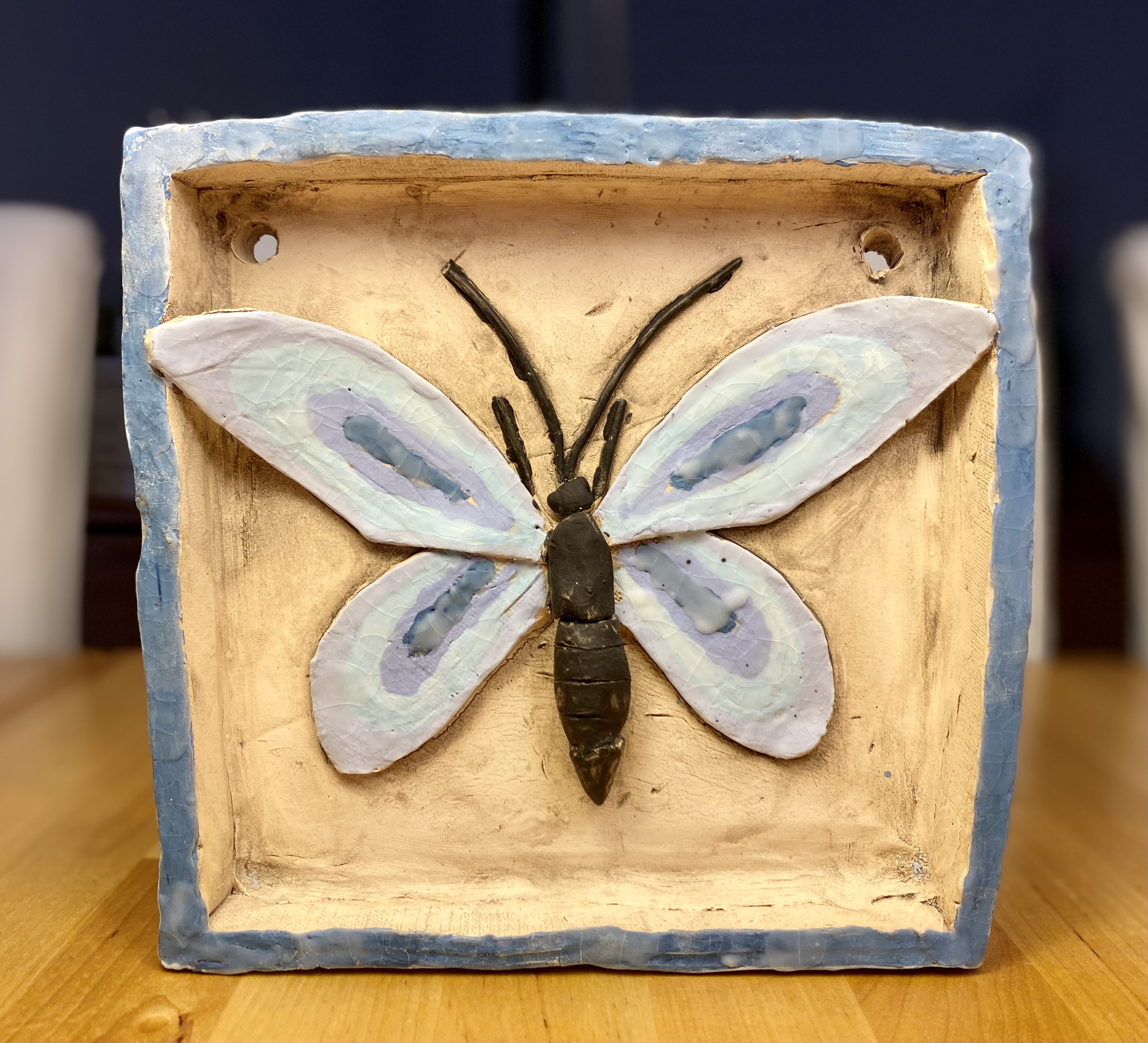 Butterfly Box
